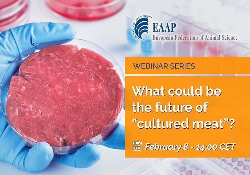 Is There A Future For Cultured Meat Carni Sostenibili